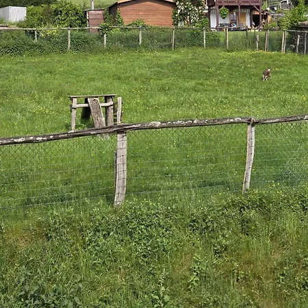 My Little House House In Coo With Swimming Pool In The Heart Of The Ardennes